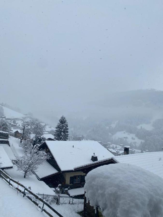Rooms With Private Bathrooms Saas im Prattigau ภายนอก รูปภาพ